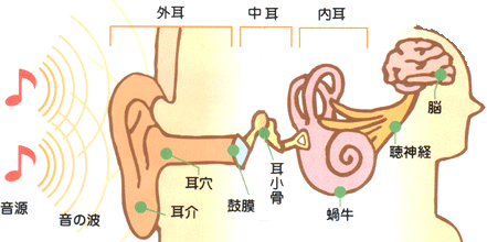 聞こえのしくみ