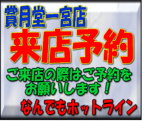 なんでもホットライン