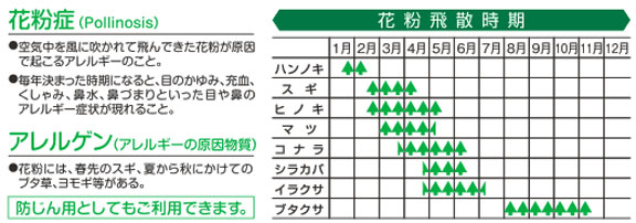 岐阜メガネ　花粉症用　度付対応